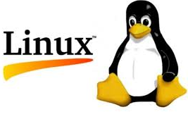 l Darkwiki What is OS? Windows vs Linux Full Guide Step to Step in Hindi