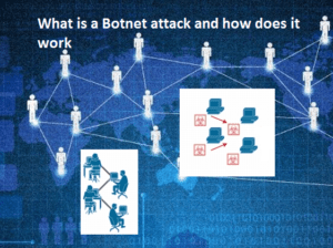 What is a Botnet attack and how does it work 1