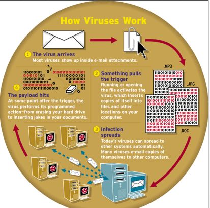 What is a Computer Virus and Types of Virus