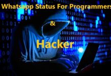 Best Collection of Whatsapp Status & Facebook Status For Programmer and Hacker