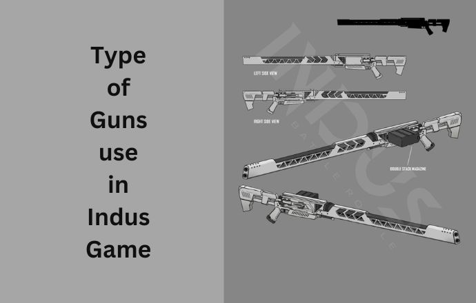 What type of guns you can use in Indus game?