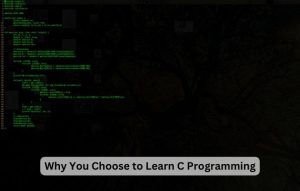 10 Reasons Why You Choose to Learn C Programming Language 1